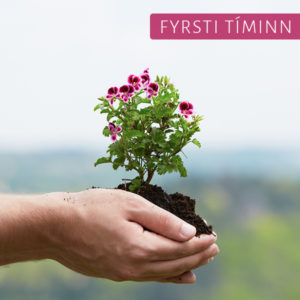 Fyrsti tíminn - 50 mín.